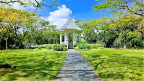  Singapore Botanic Gardens